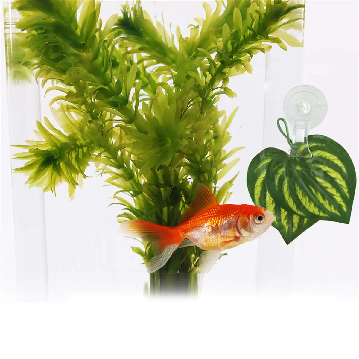 SLSON Fish & Aquarium Veggie Seaweed Clip 4 Pack | Aquarium Feeding & Decoration Tool - view 6