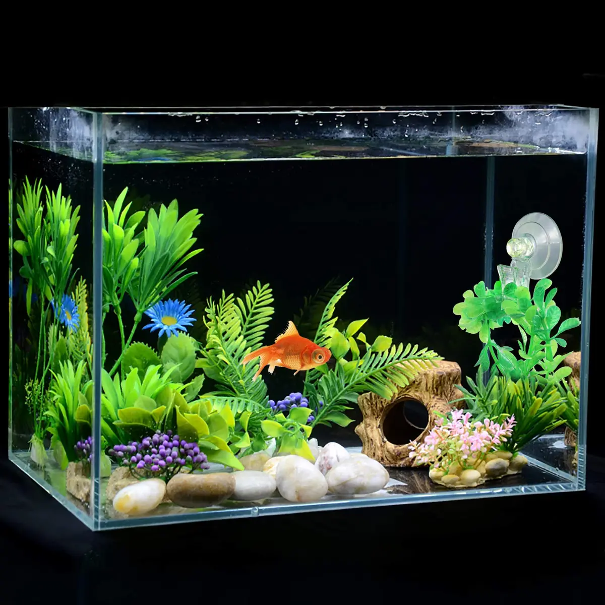 SLSON Fish & Aquarium Veggie Seaweed Clip 4 Pack | Aquarium Feeding & Decoration Tool - view 2