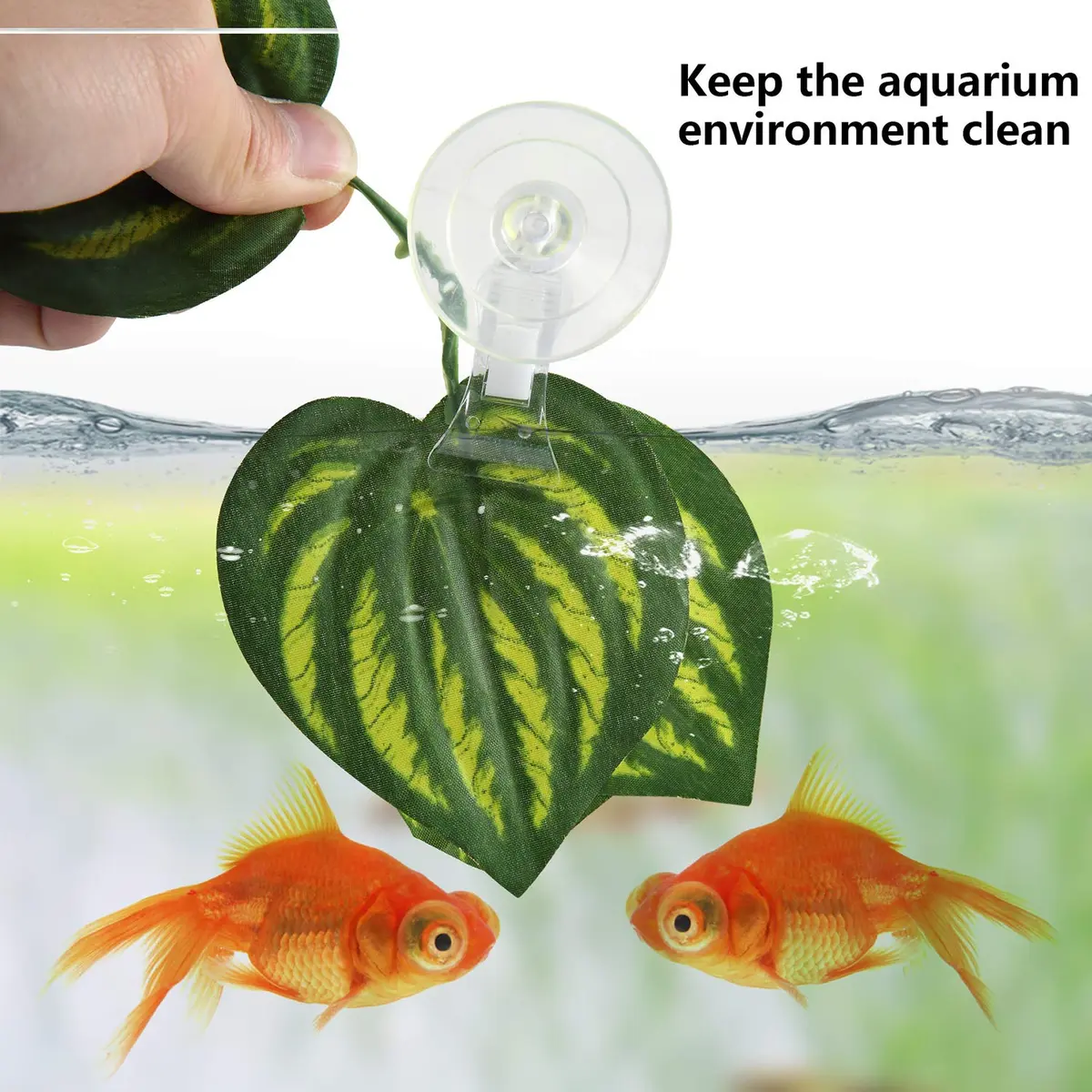 SLSON Fish & Aquarium Veggie Seaweed Clip 4 Pack | Aquarium Feeding & Decoration Tool - view 4