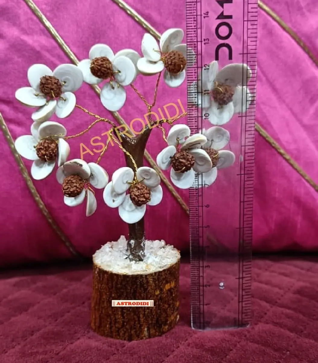 ASTRODIDI Rudraksha Gomti Chakra Tree with 45 Gomti Chakras & 9 Rudraksha Beads | Home & Office Decor - view 5