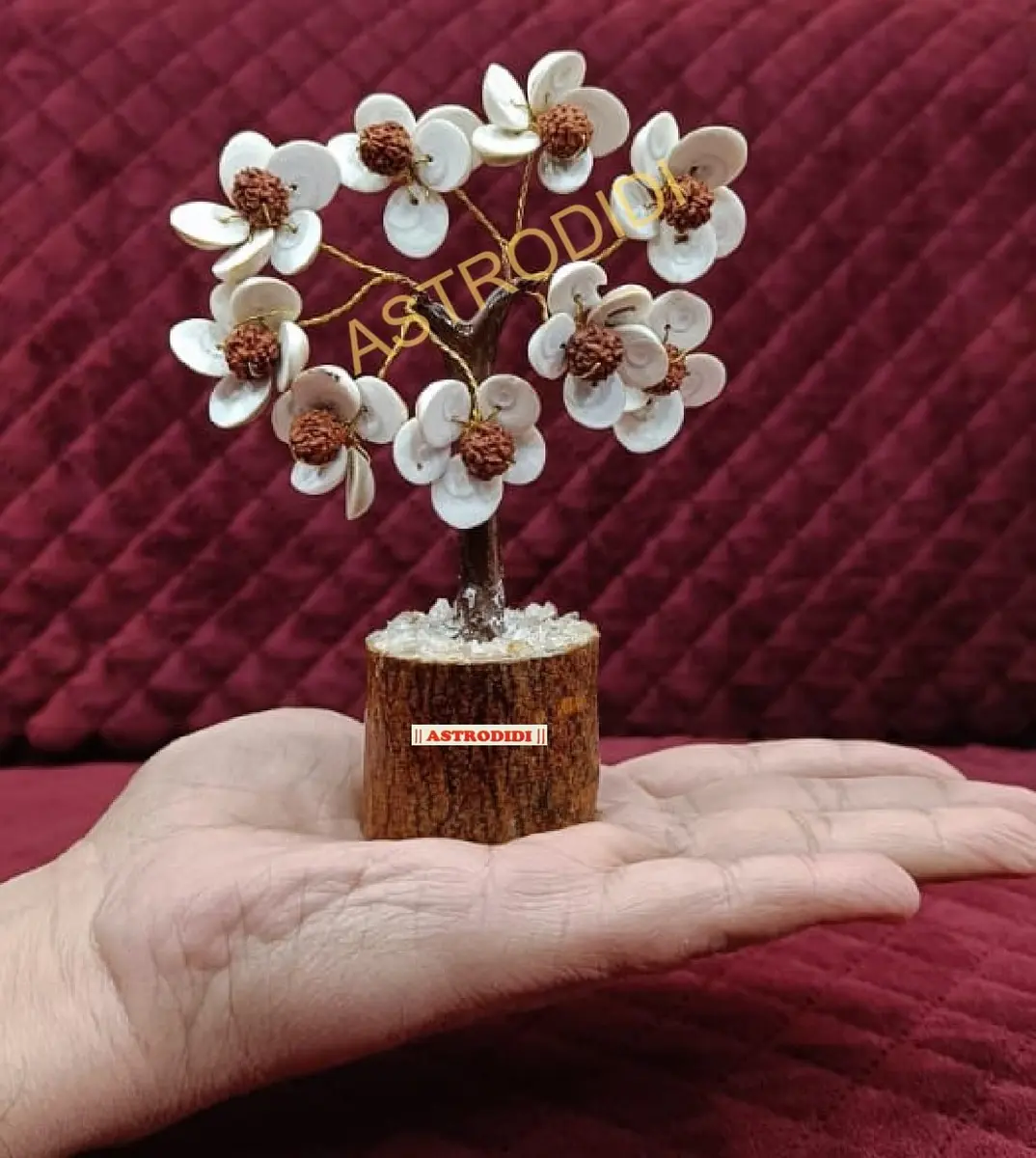 ASTRODIDI Rudraksha Gomti Chakra Tree with 45 Gomti Chakras & 9 Rudraksha Beads | Home & Office Decor - view 6