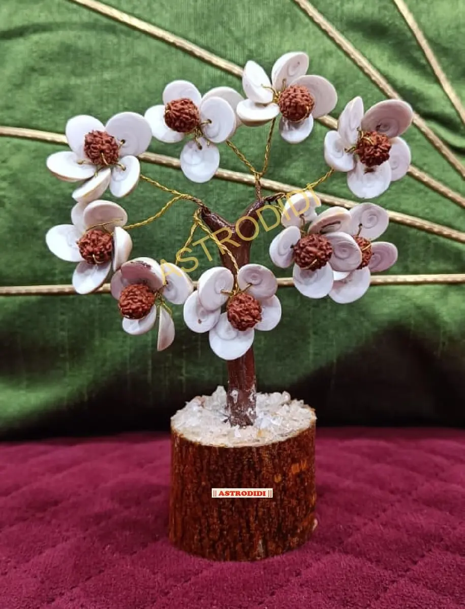 ASTRODIDI Rudraksha Gomti Chakra Tree with 45 Gomti Chakras & 9 Rudraksha Beads | Home & Office Decor - view 7