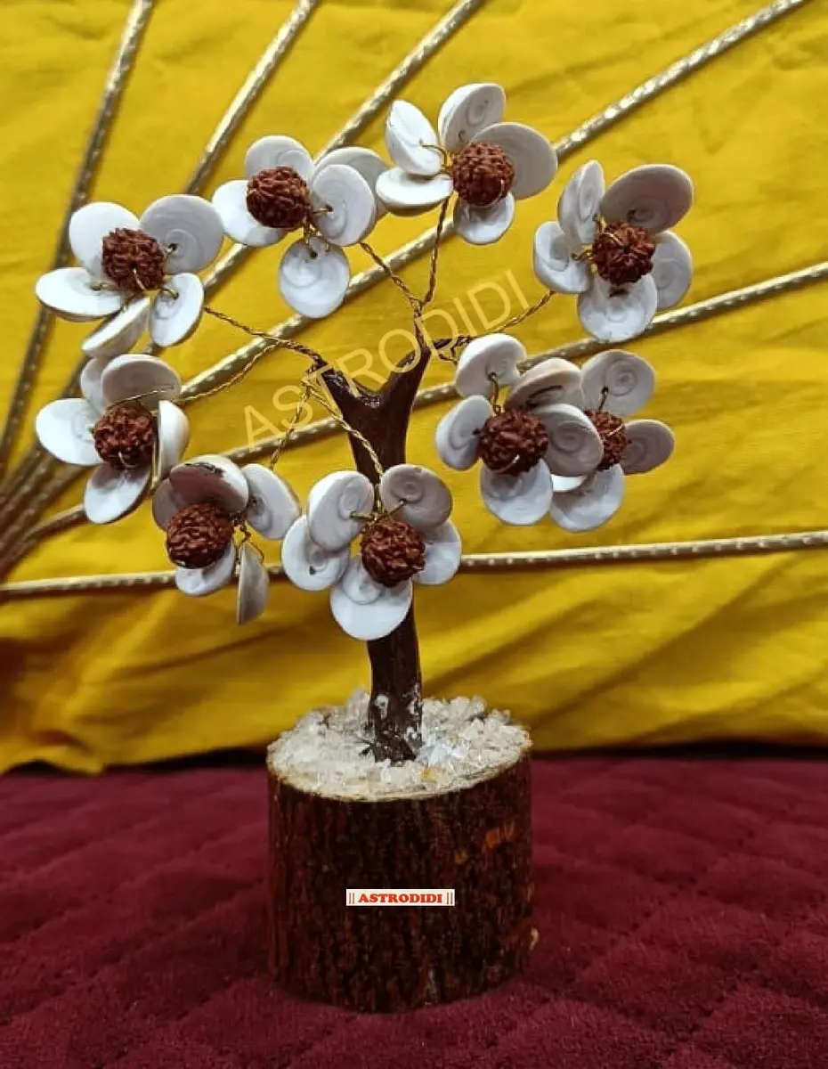 ASTRODIDI Rudraksha Gomti Chakra Tree with 45 Gomti Chakras & 9 Rudraksha Beads | Home & Office Decor - view 8