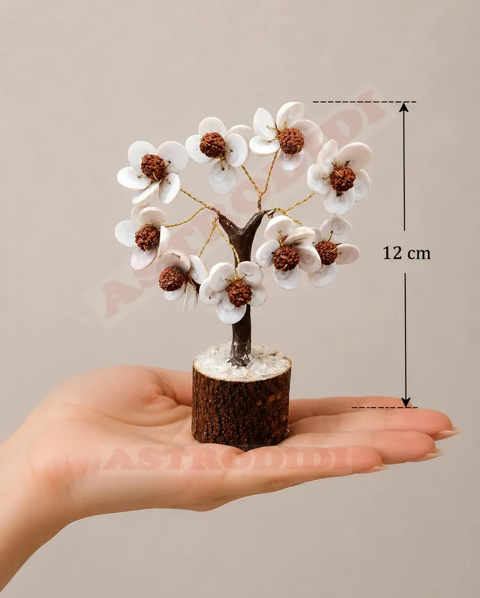 ASTRODIDI Rudraksha Gomti Chakra Tree with 45 Gomti Chakras & 9 Rudraksha Beads | Home & Office Decor - view 4