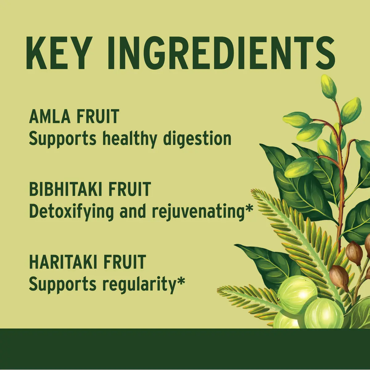 Banyan Botanicals Triphala Tablets 180 Count | Gentle Detox & Digestive Support in India - view 5