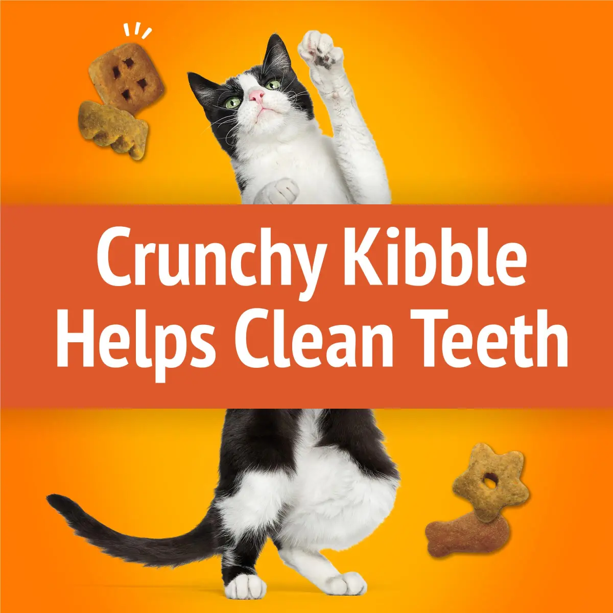 Friskies Party Mix Original Crunch Cat Treats, 850g (30 Ounce) | Real Chicken, Liver & Turkey Flavors - view 4