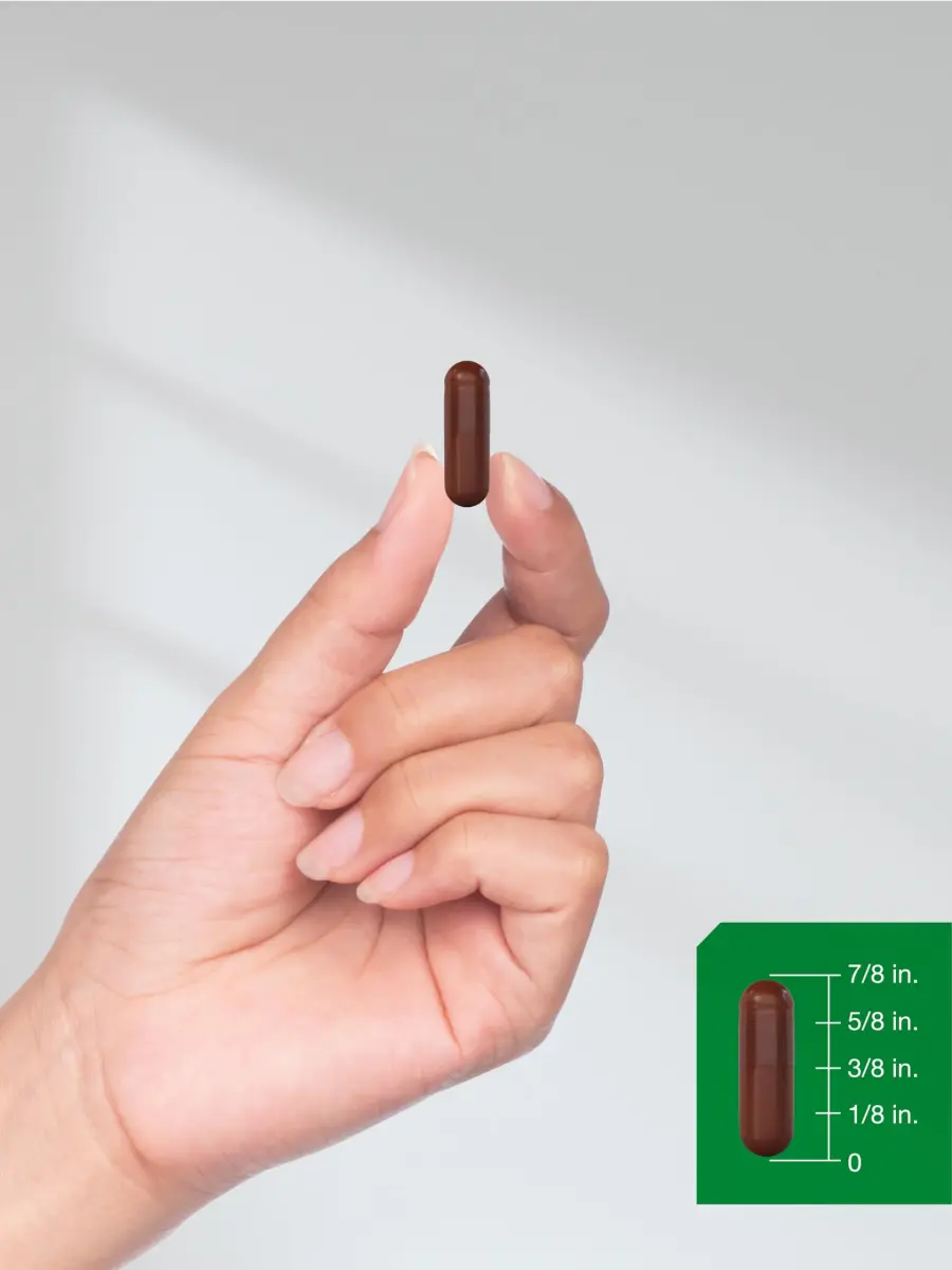 Horbäach Pine Bark Extract 180 Capsules | Standardized to 75% Proanthocyanidins - view 8
