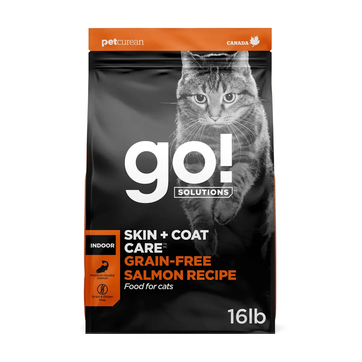 Go! Solutions Skin + Coat Care Salmon Grain-Free Dry Cat Food 16 lb | Supports Shiny Fur & Healthy Skin - main product image