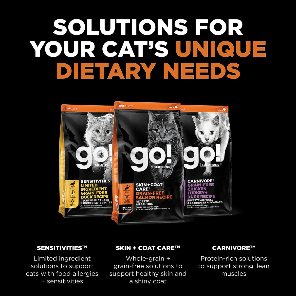 Go! Solutions Skin + Coat Care Salmon Grain-Free Dry Cat Food 16 lb | Supports Shiny Fur & Healthy Skin - view 5
