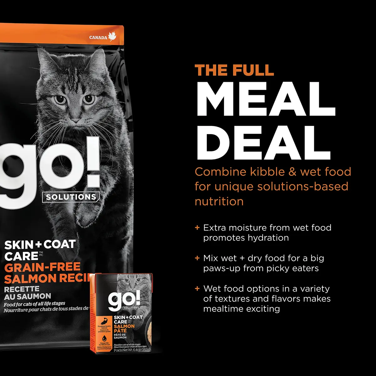 Go! Solutions Skin + Coat Care Salmon Grain-Free Dry Cat Food 16 lb | Supports Shiny Fur & Healthy Skin - view 6