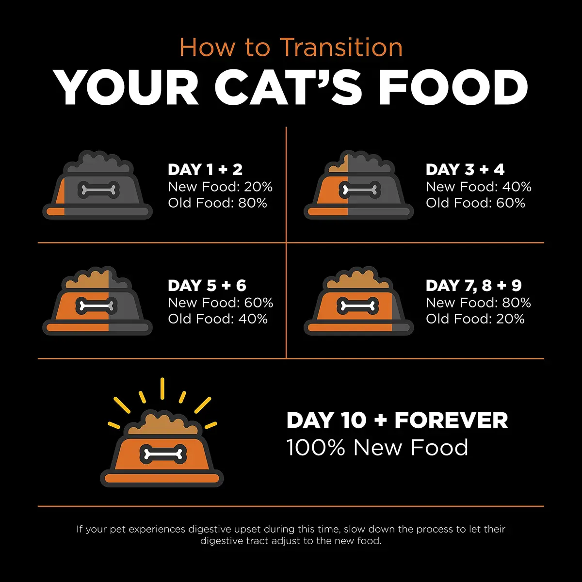 Go! Solutions Skin + Coat Care Salmon Grain-Free Dry Cat Food 16 lb | Supports Shiny Fur & Healthy Skin - view 8