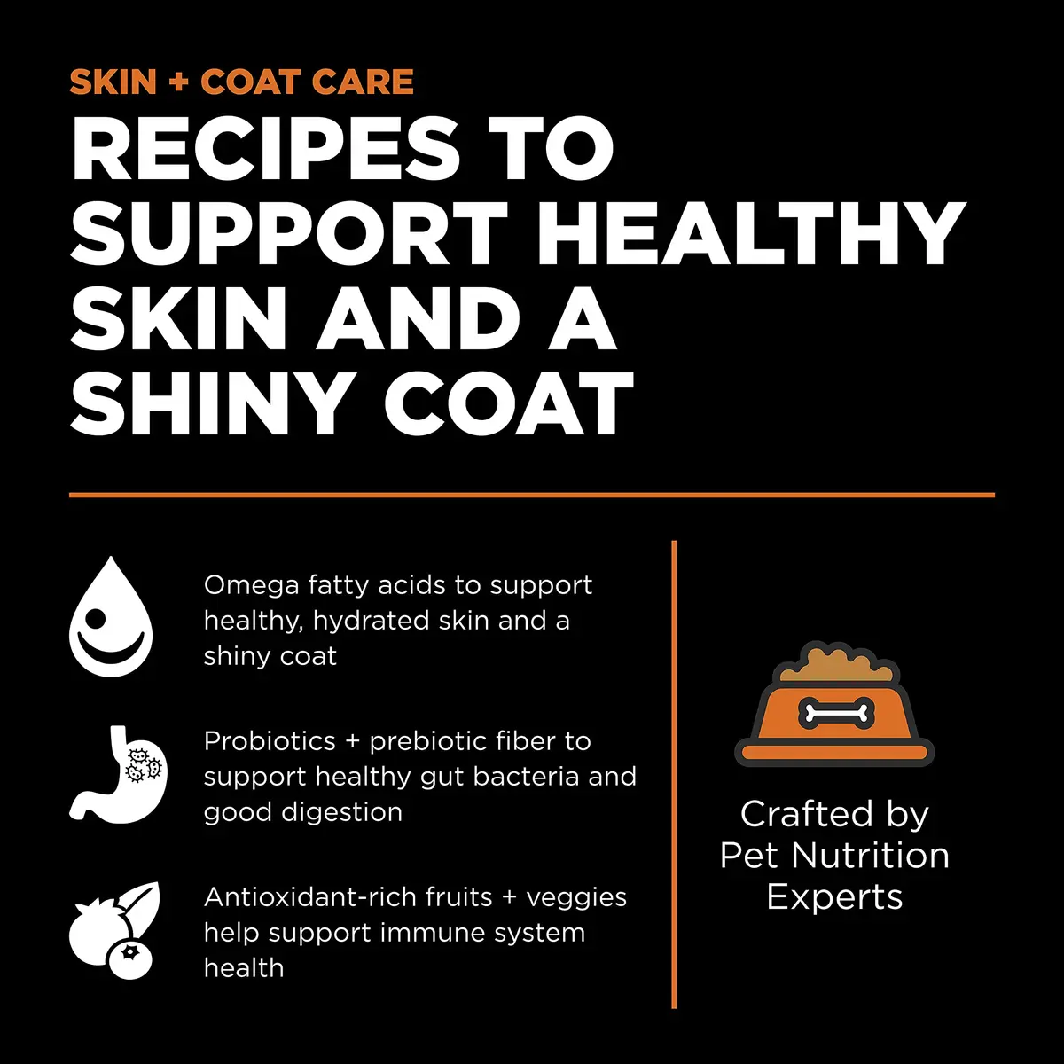 Go! Solutions Skin + Coat Care Salmon Grain-Free Dry Cat Food 16 lb | Supports Shiny Fur & Healthy Skin - view 2