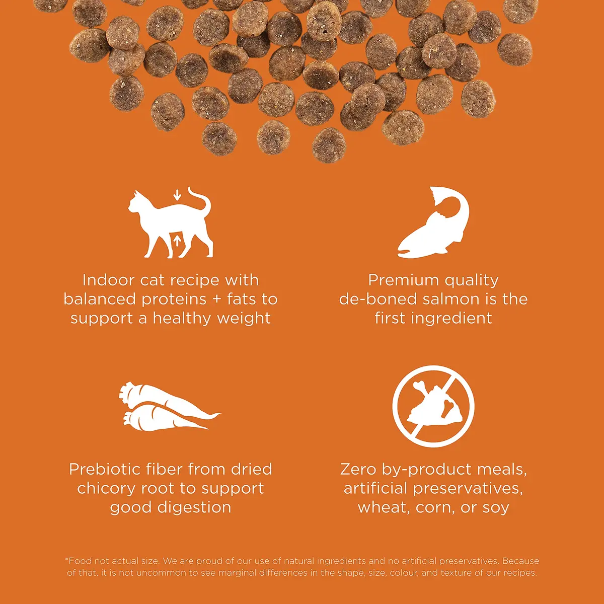 Go! Solutions Skin + Coat Care Salmon Grain-Free Dry Cat Food 16 lb | Supports Shiny Fur & Healthy Skin - view 3