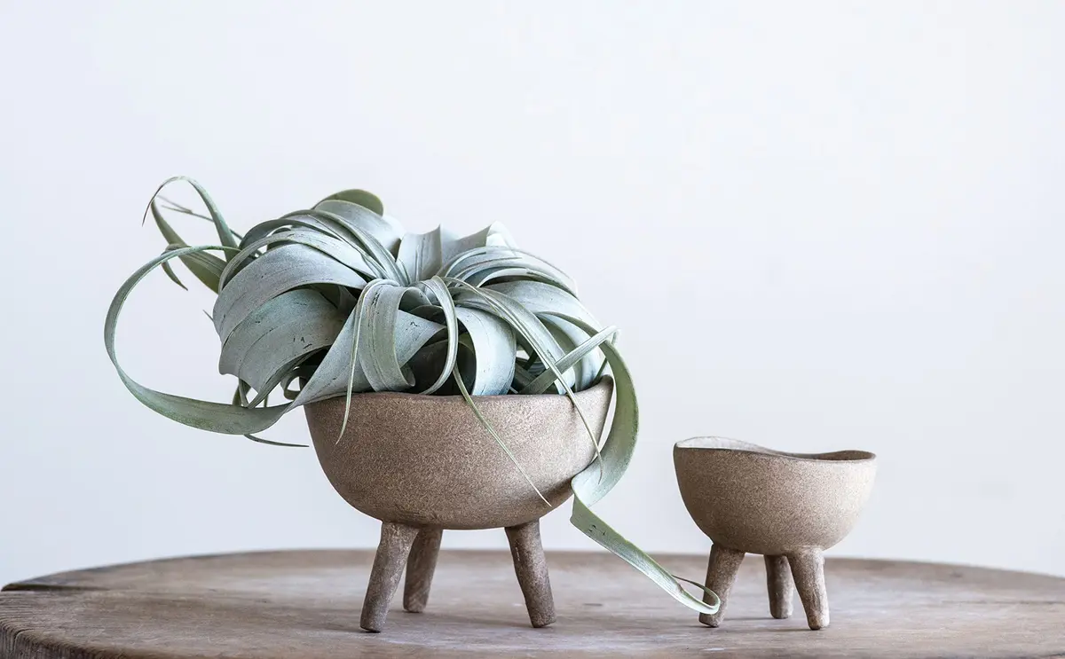 Creative Co-Op Round Terra-cotta Bowl with 3-Legs and Distressed Finish, Cream | Rustic Indoor/Outdoor Decor - view 9
