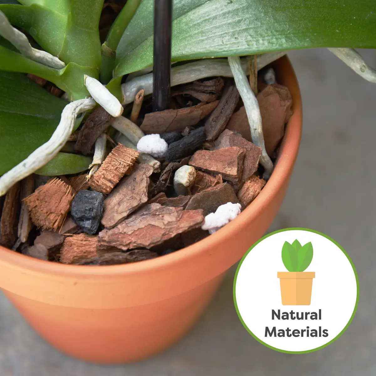 Perfect Plants Orchid Potting Mix, 1 qt, Bark Blend for Phalaenopsis | Well-Balanced Orchid Root Environment - view 3
