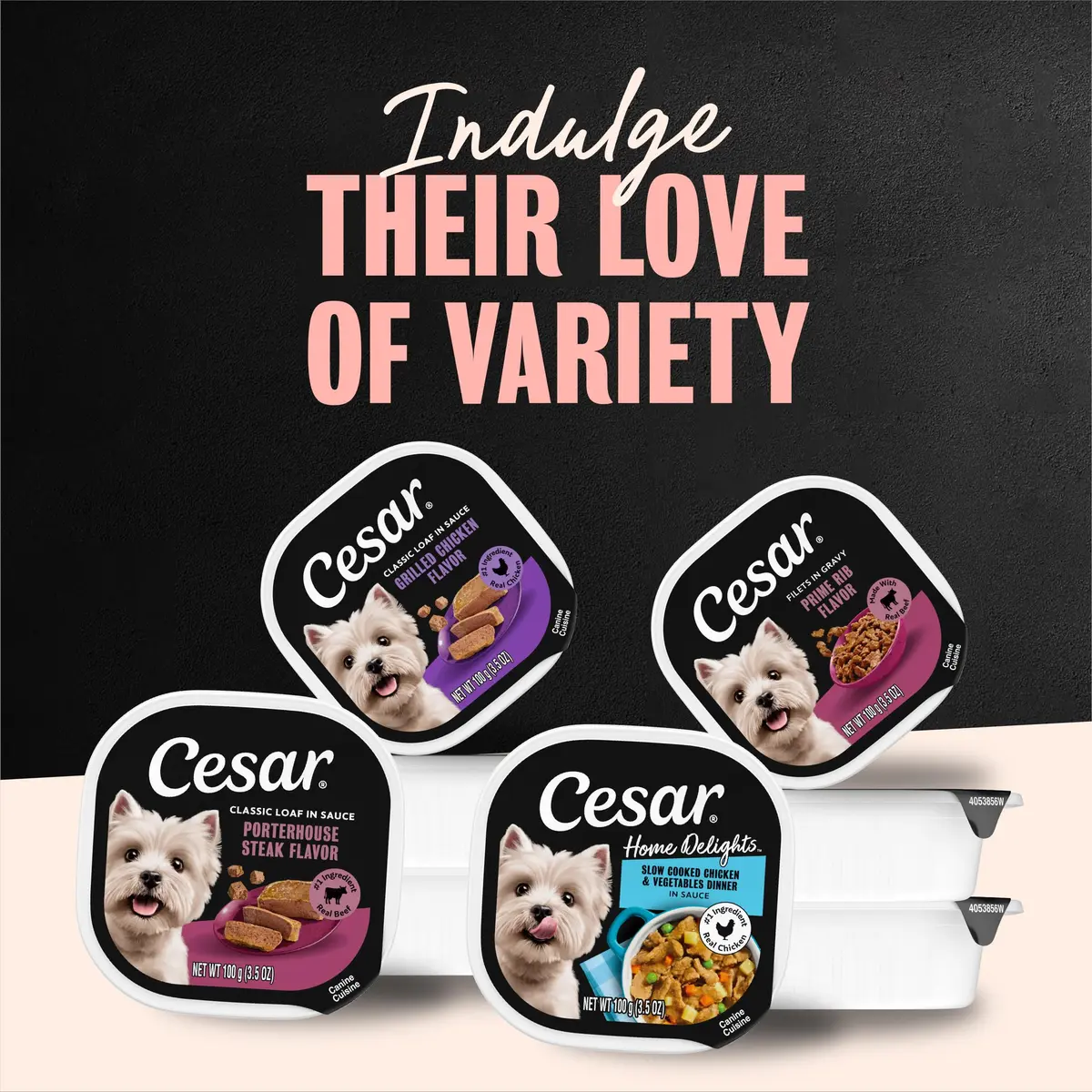 Cesar Filets in Gravy Wet Dog Food Poultry Mix 3.5 oz | Made in USA with Natural Ingredients - view 6