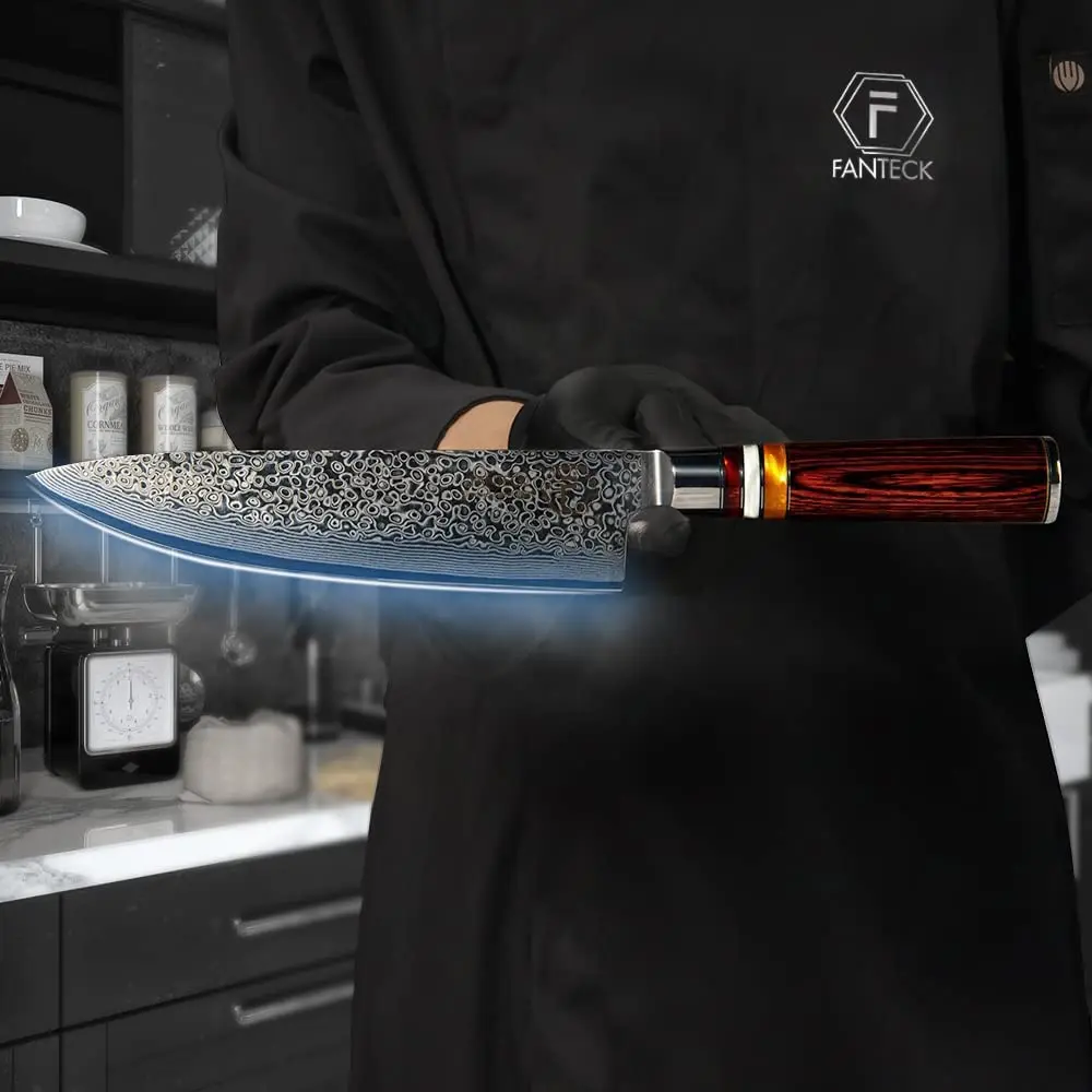 Fanteck Chef Knife 8 Inch | Japanese Damascus VG10 Steel | Pakkawood Handle - view 6