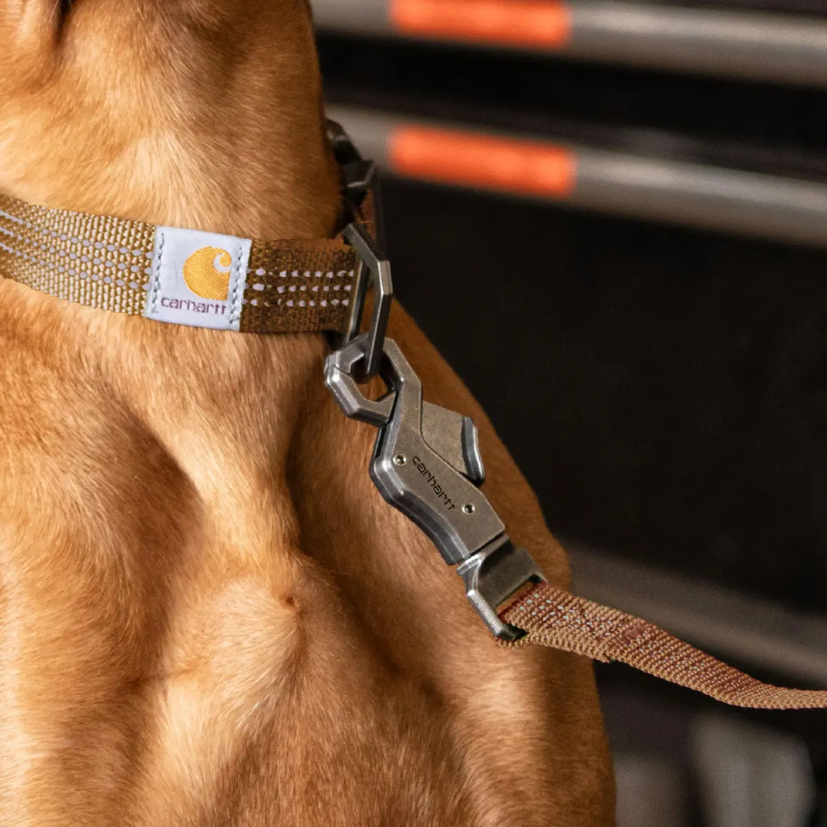 Carhartt Large Black Nylon Webbing Dog Leash 1.83 m (6') | Reflective Stitching for Visibility - view 5