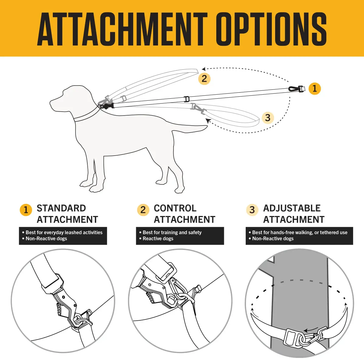Carhartt Large Black Nylon Webbing Dog Leash 1.83 m (6') | Reflective Stitching for Visibility - view 4