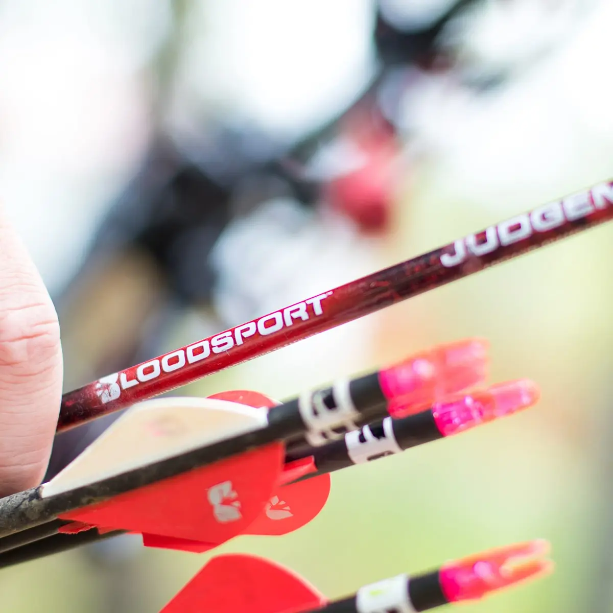 Bloodsport Judgement Arrow 31" | Precise Lightweight Carbon for Hunting - view 7