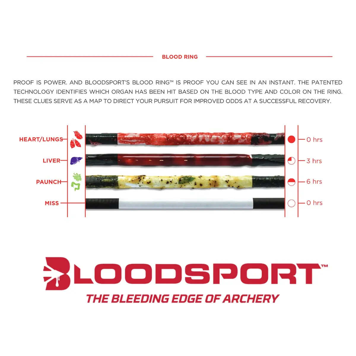 Bloodsport Judgement Arrow 31" | Precision Carbon Hunting Arrow for Compound Bow - view 3