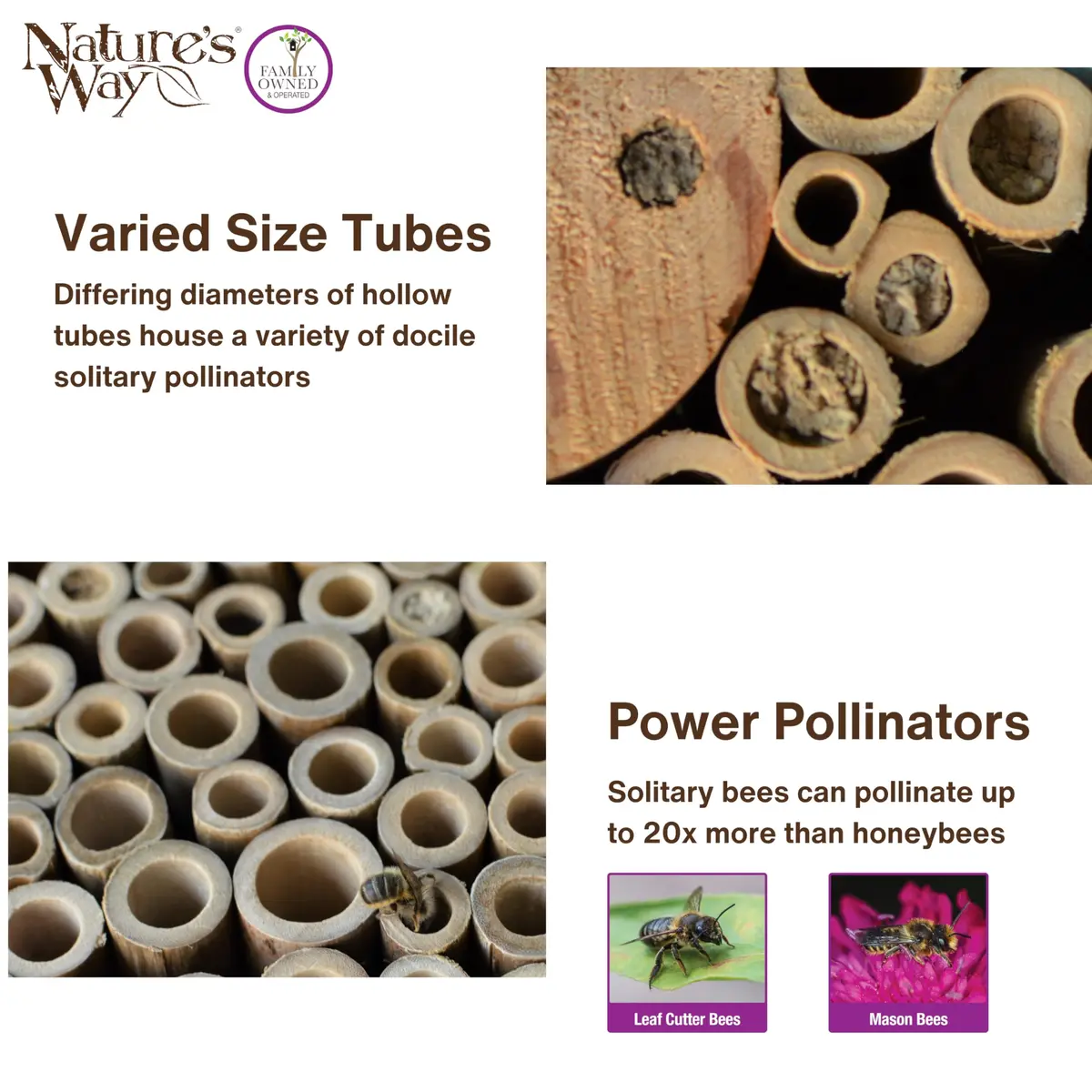 NATURE'S WAY Purple Bee House | Eco-Friendly Solitary Bee Habitat for Garden Pollination - view 5