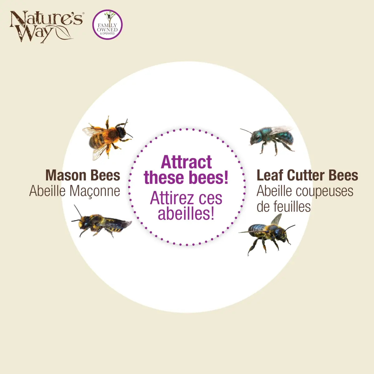 NATURE'S WAY Purple Bee House | Eco-Friendly Solitary Bee Habitat for Garden Pollination - view 7