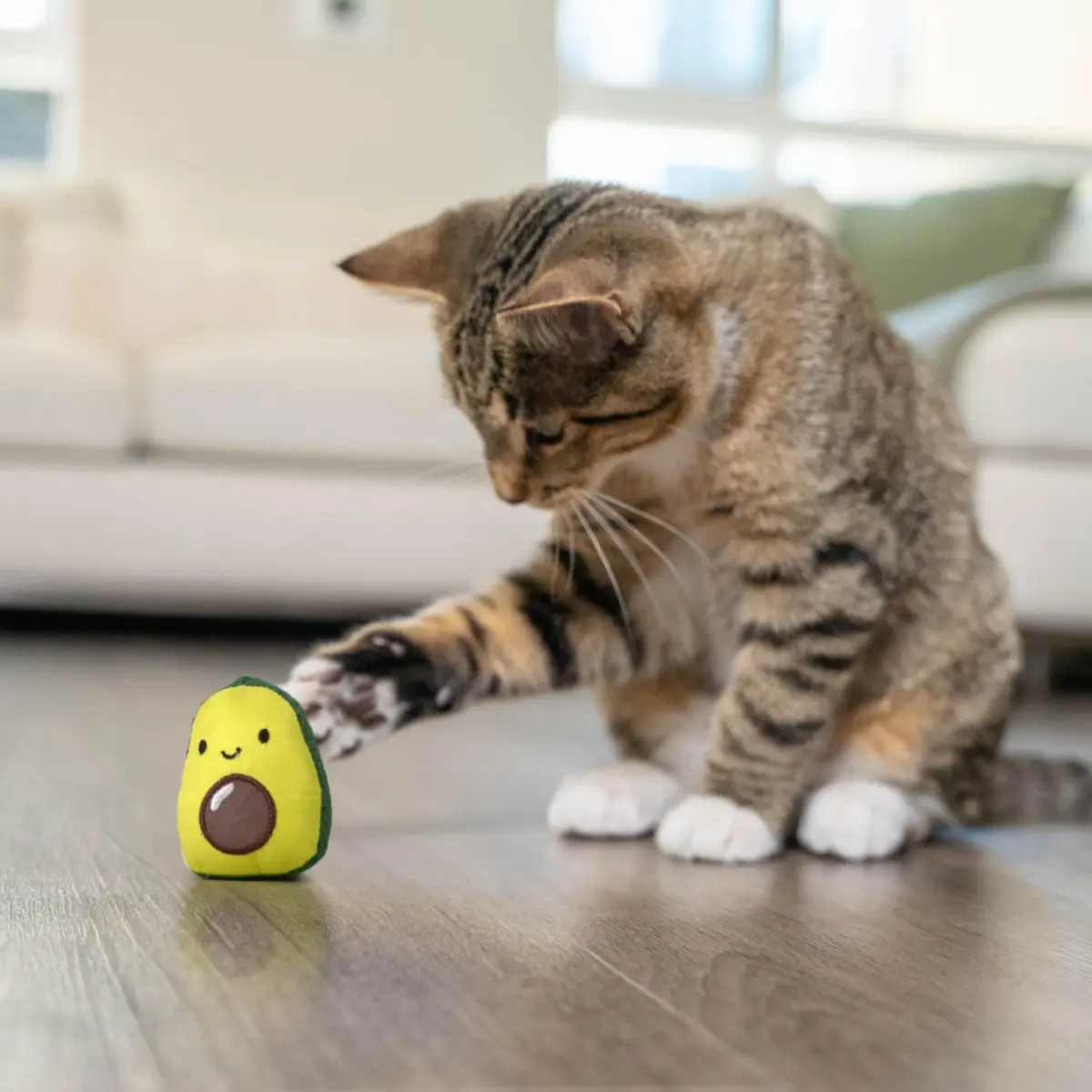 Catstages Lil' Avocato Cat Toy, Interactive Plush Avocado with Catnip, Kicker & Chew Toy 4.2 cm (1.8 in) | Encourages Active Play - view 8