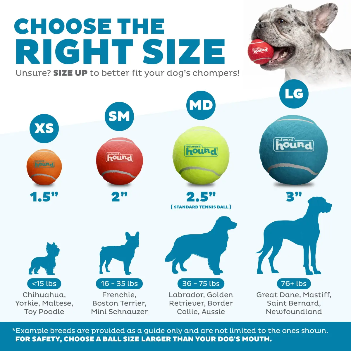 Outward Hound Squeaker Ballz Tiny Tennis Balls for Small Dogs Under 15 lbs, Fetch & Training, X-Small (1.5 inch / 3.8 cm), 4-Pack - view 3