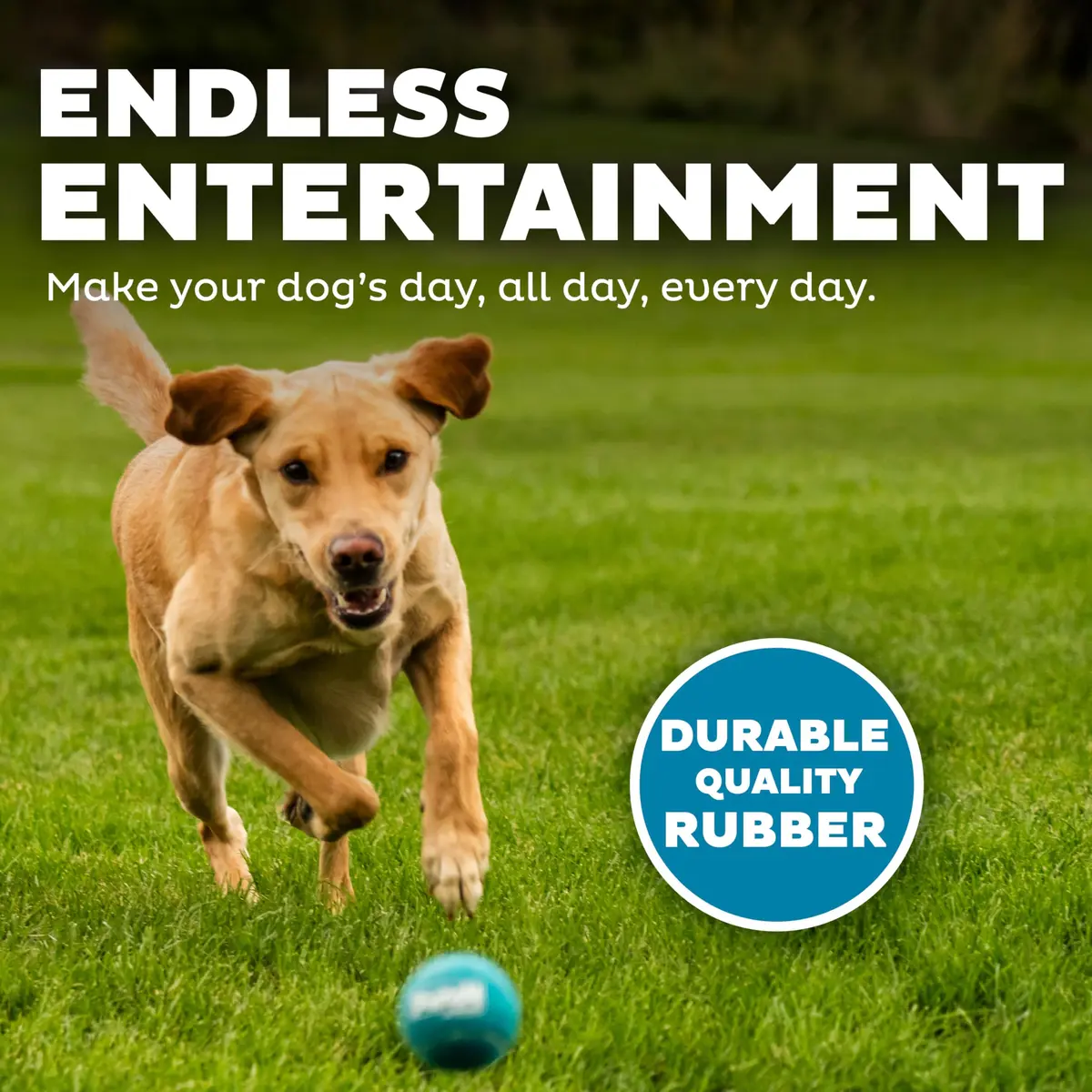 Outward Hound Squeaker Ballz Tennis Ball Dog Toy, Medium 2.5" (6.4 cm) 4-Pack | Durable, Bouncy, and Highly Visible Fetch Toys - view 4