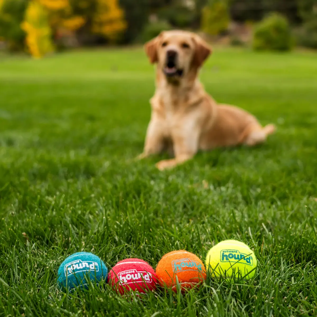 Outward Hound Squeaker Ballz Tennis Ball Dog Toy, Medium 2.5" (6.4 cm) 4-Pack | Durable, Bouncy, and Highly Visible Fetch Toys - view 5
