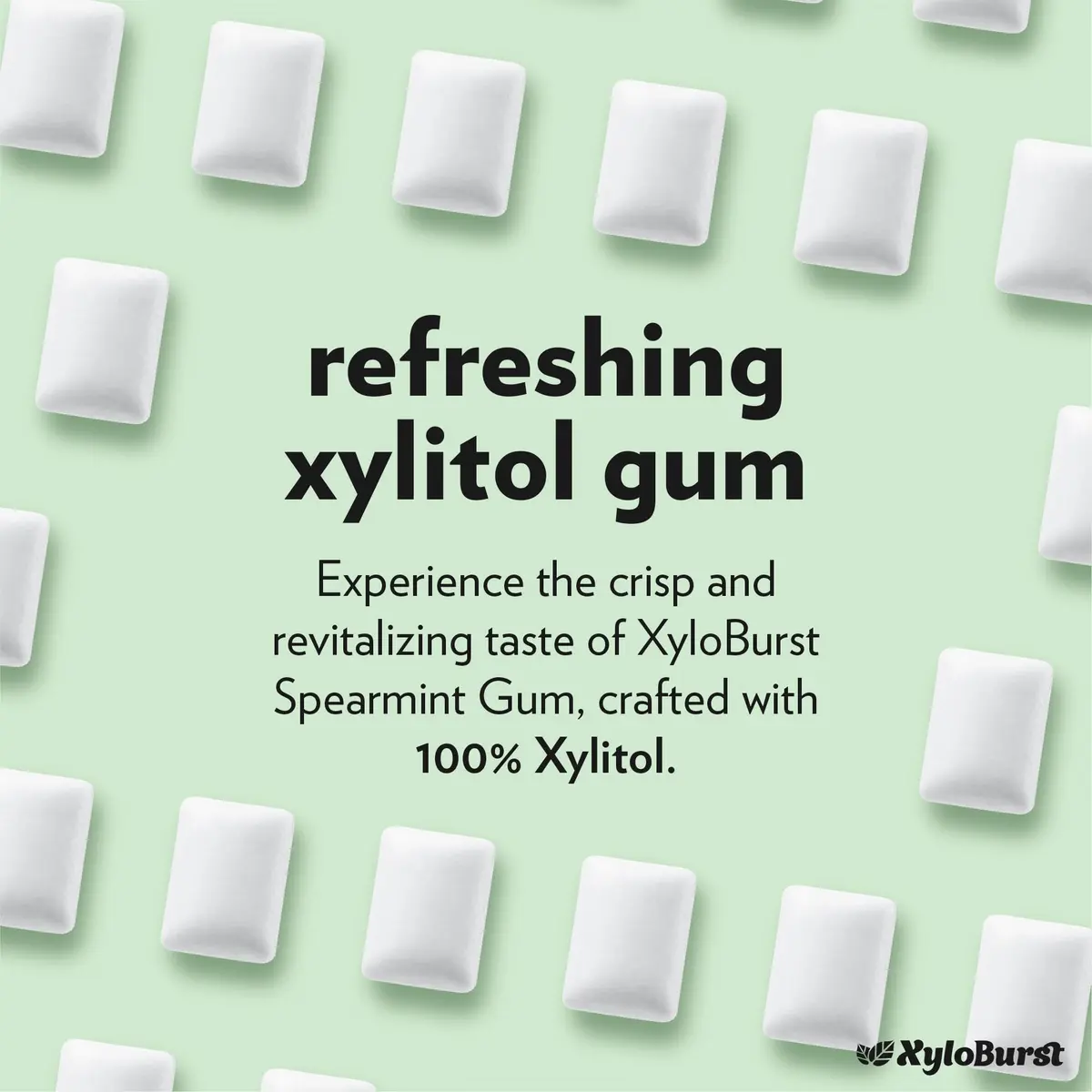XyloBurst Sugar Free Gluten Free Chewing Gum Spearmint | 300 Pieces (100 Count Jar, Pack of 3) - view 3