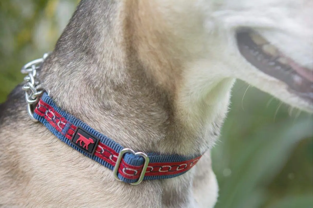 Tuff Pupper Martingale Dog Collar Medium 16-24" Neck | Adjustable Nylon & Stainless Steel Chain for Training - view 8