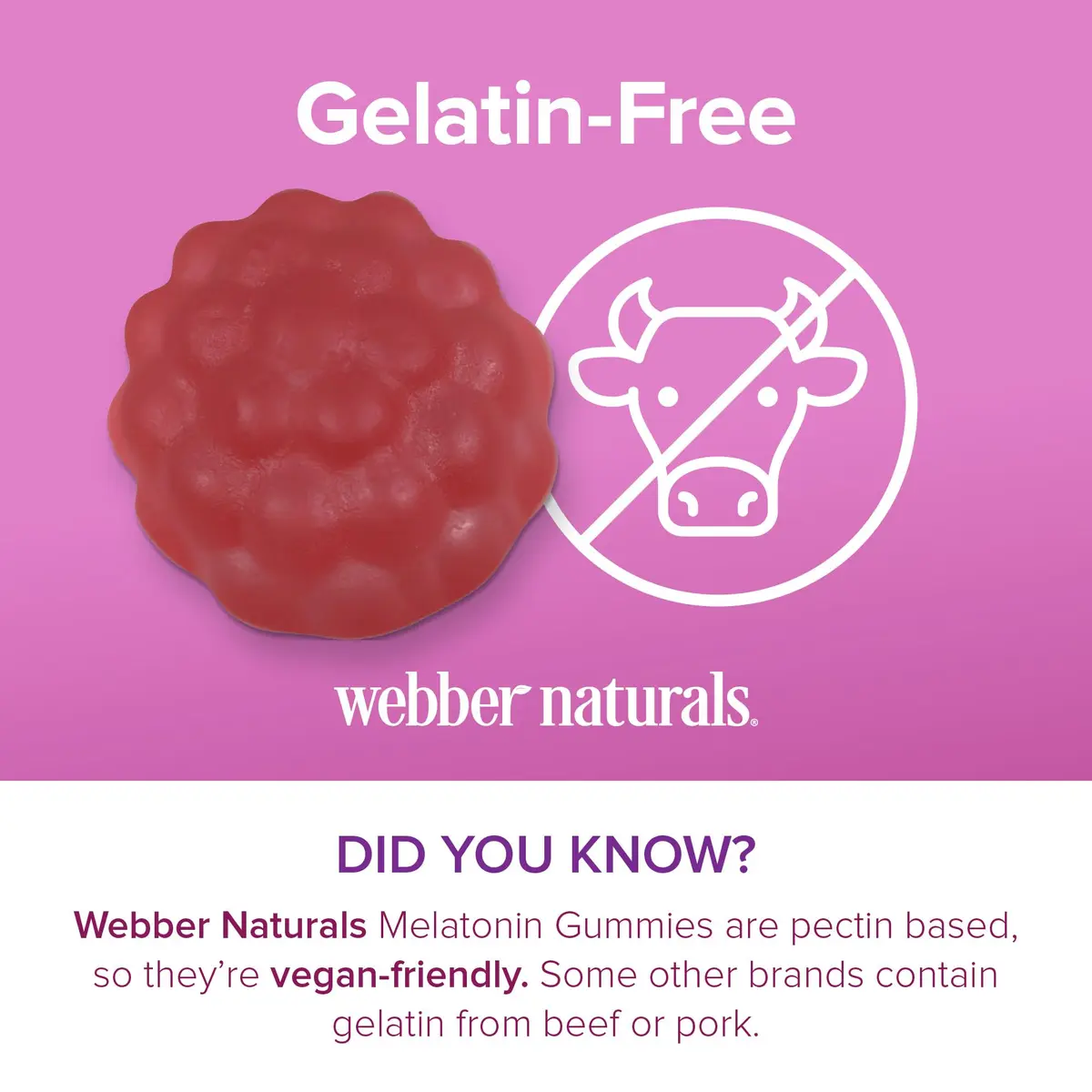Webber Naturals Melatonin 5 Mg Gummies | Natural Sleep Aid for Adults (90 Count) - view 7