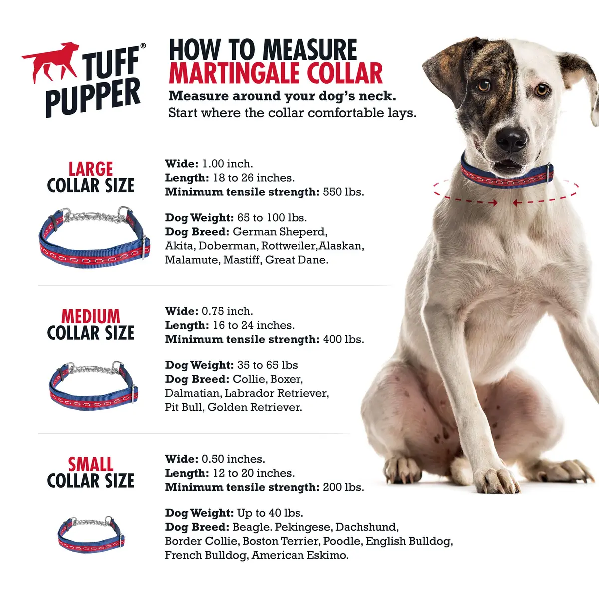 Tuff Pupper Martingale Dog Collar for Small Dogs (12-20" Neck) | Gentle Nylon & Stainless Steel Chain for Training - view 3