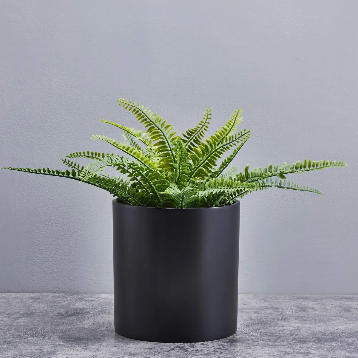 FaithLand 8 Inch Fiberstone Planter - Lightweight Modern Cylinder Plant Pot with Drainage Hole & Plug, Indoor Outdoor Use, Matte Black - view 7