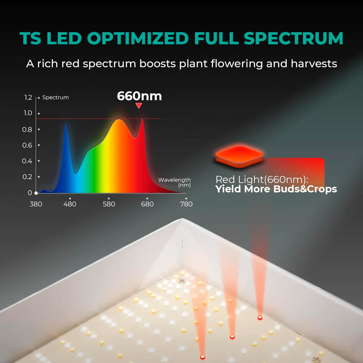 MARS HYDRO TSW2000 LED Grow Light 300W Full Spectrum for Indoor Plants | 3x3ft Flower / 4x4ft Veg Coverage - view 4