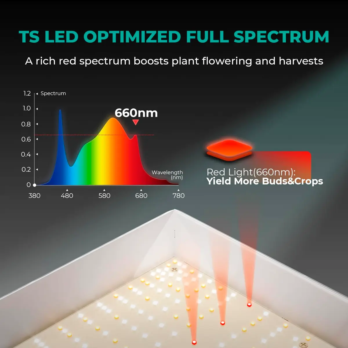 MARS HYDRO TSL2000 LED Grow Light 300W Full Spectrum 99.6cm (39.2") | Dimmable Daisy Chain for Indoor Plants - view 4