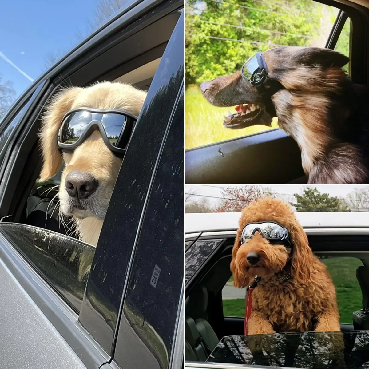 NAMSAN Dog Sunglasses for Medium to Large Dogs, UV Protection Dog Goggles 16.5cm (6.5in) | Sporty Black - view 6