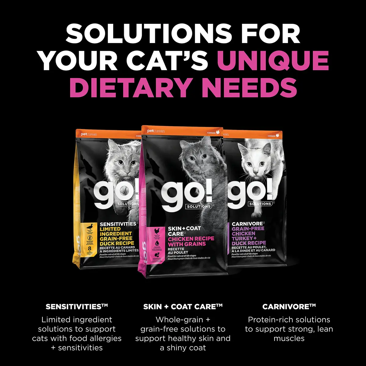 Go! Solutions Skin + Coat Care Chicken Dry Cat Food with Grains, 16 lb Bag | Supports Shiny Fur & Healthy Skin - view 5