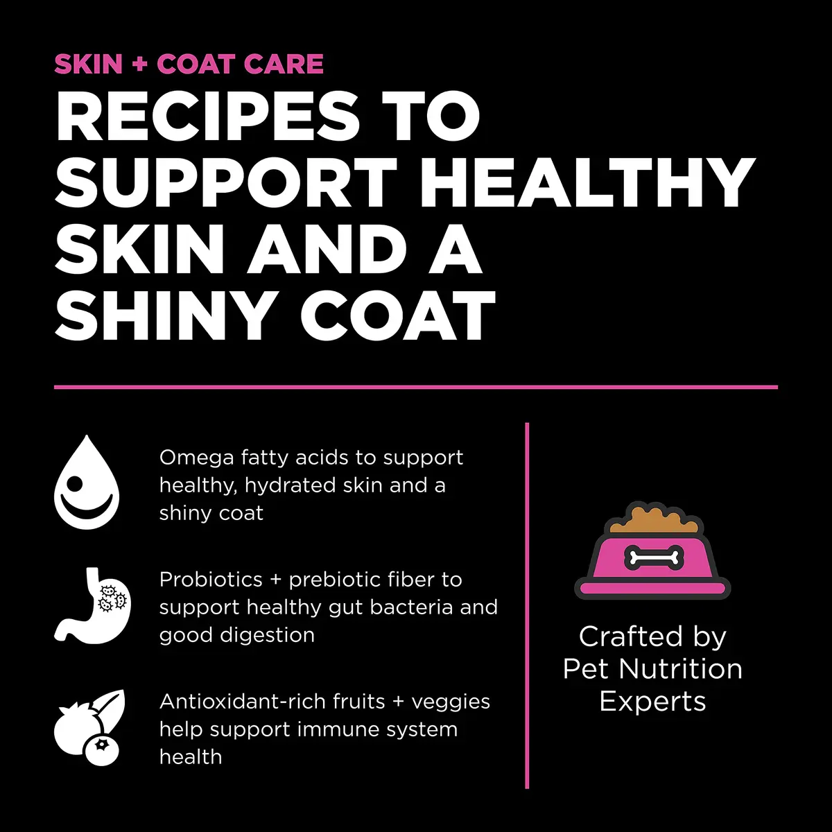 Go! Solutions Skin + Coat Care Chicken Dry Cat Food with Grains, 16 lb Bag | Supports Shiny Fur & Healthy Skin - view 2