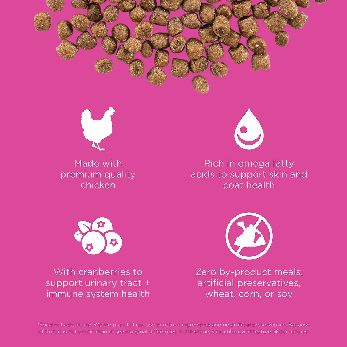 Go! Solutions Skin + Coat Care Chicken Dry Cat Food with Grains, 16 lb Bag | Supports Shiny Fur & Healthy Skin - view 3