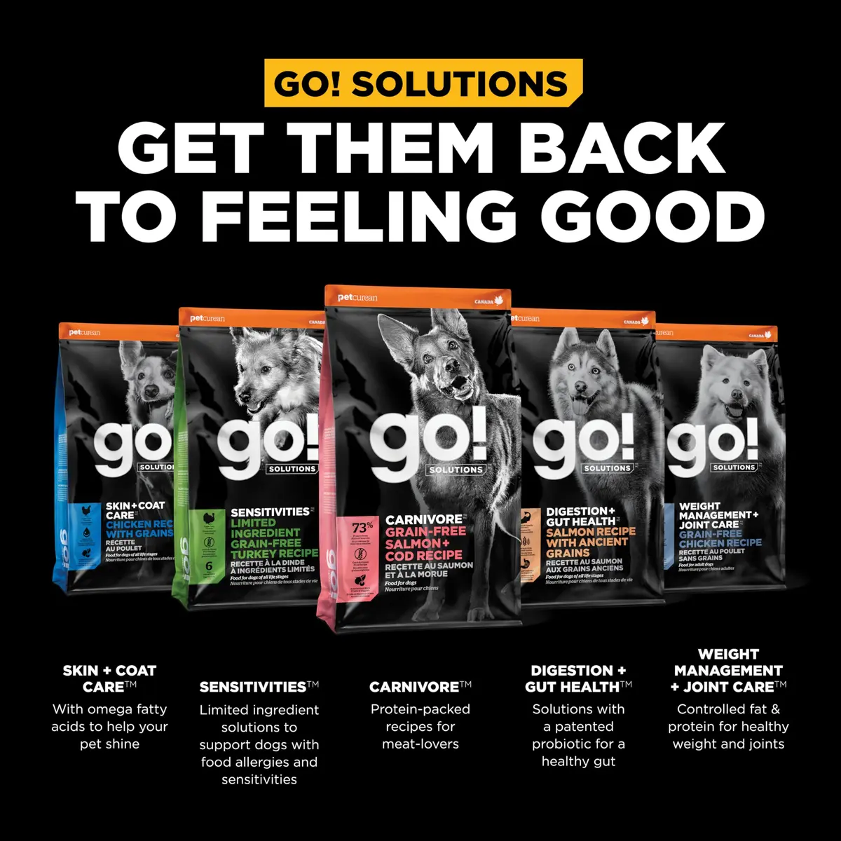 Go! Solutions Carnivore Salmon + Cod Grain-Free Dog Food 22 lb | High-Protein, Real Meat & Fish, Puppy to Senior - view 9