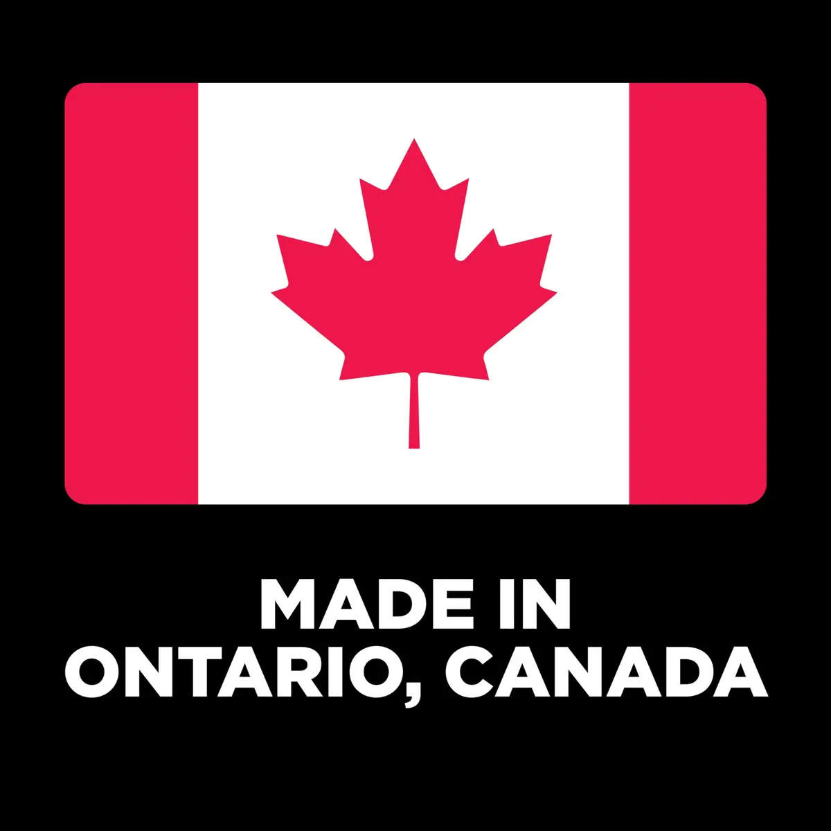 Go! Solutions Carnivore Salmon + Cod Grain-Free Dog Food 22 lb | High-Protein, Real Meat & Fish, Puppy to Senior - view 3