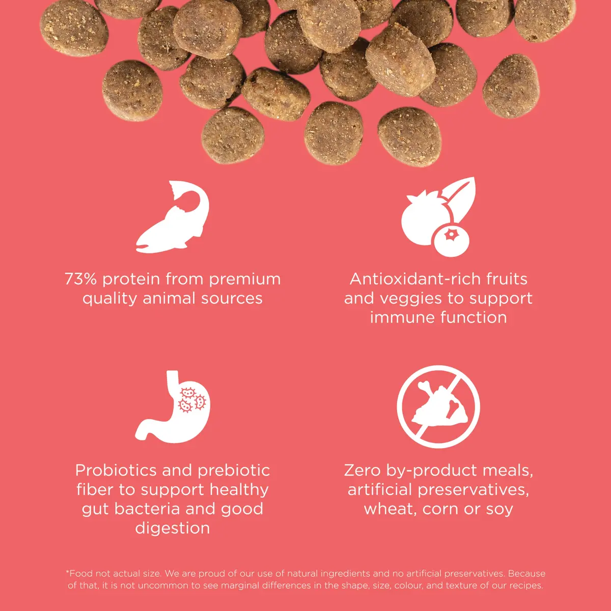 Go! Solutions Carnivore Salmon + Cod Grain-Free Dog Food 22 lb | High-Protein, Real Meat & Fish, Puppy to Senior - view 4