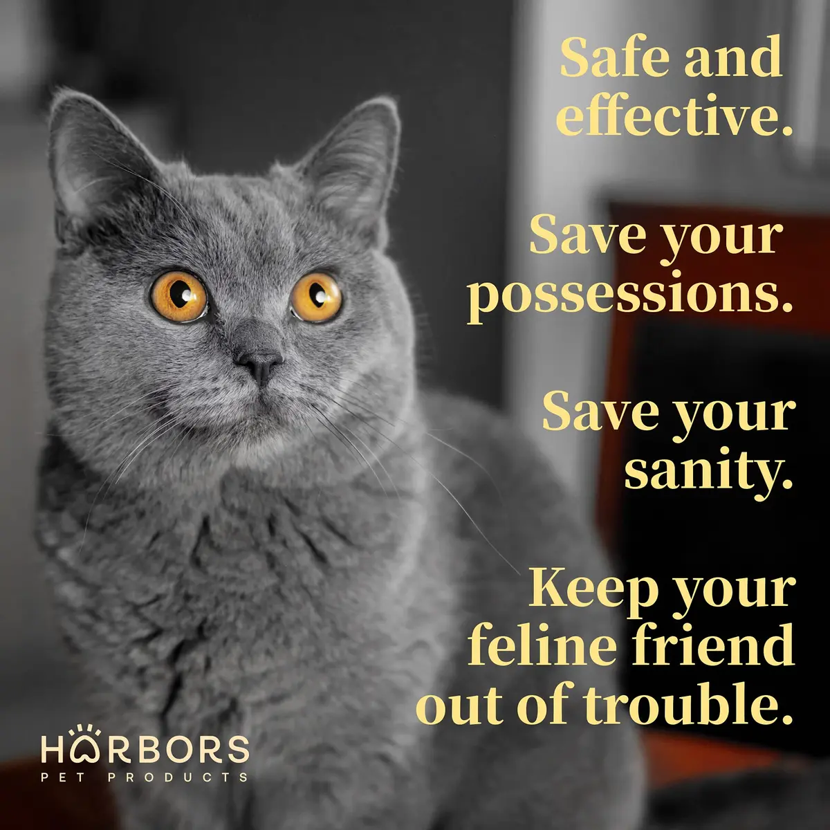 Harbor's Pet Products Cat Scratch and Chewing Deterrent Spray 236ml (8 Fl Oz) | Safe Essential Oil Formula for Furniture and Plants - view 5