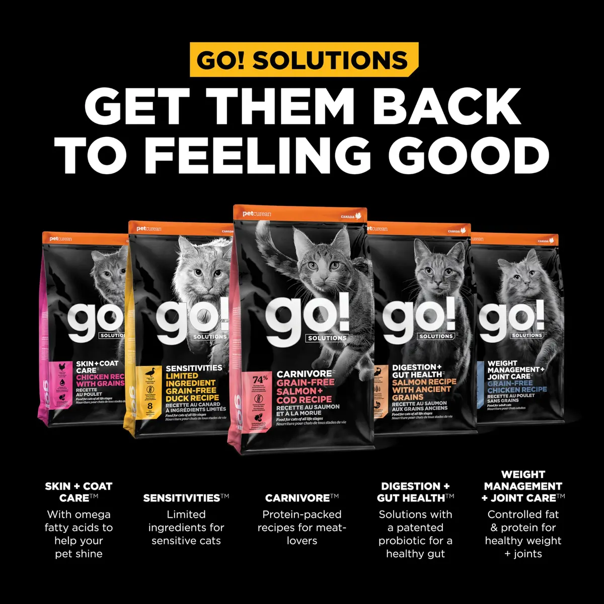 Go! Solutions Carnivore Salmon + Cod Grain-Free Dry Cat Food | High-Protein, Real Meat & Fish, 8 lb Bag - view 5