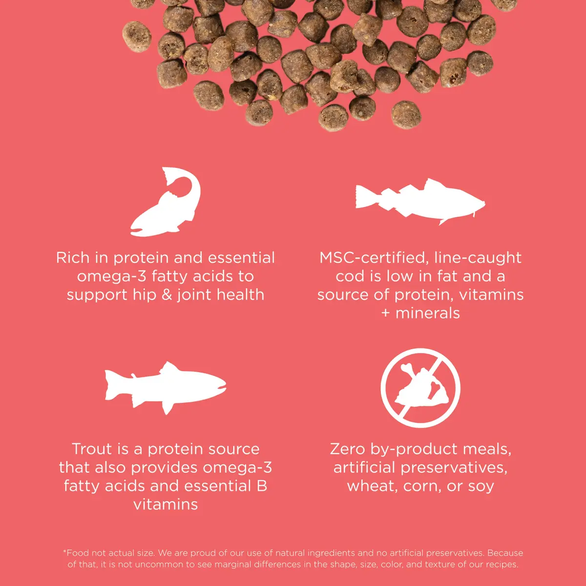 Go! Solutions Carnivore Salmon + Cod Grain-Free Dry Cat Food | High-Protein, Real Meat & Fish, 8 lb Bag - view 3
