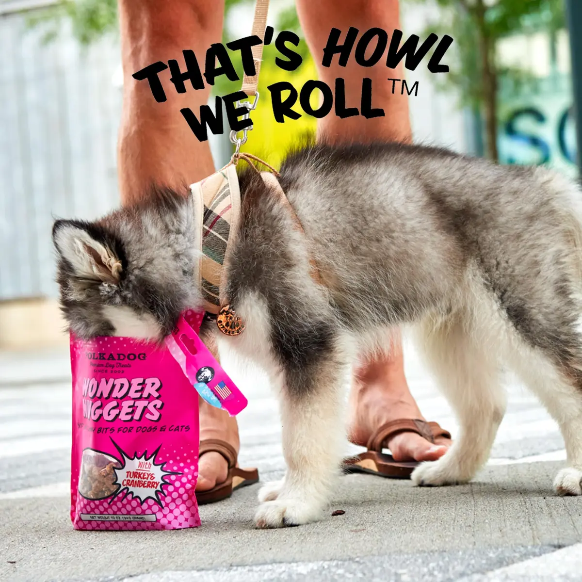 Polkadog Turkey & Cranberry Wonder Nuggets | Soft & Chewy Dog Treats for All Sizes - view 7