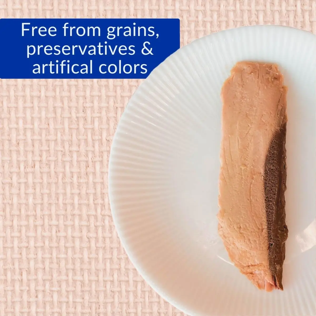 INABA Grilled Fillets Cat Treats, Tuna in Tuna Broth, 6ct | Moist, Flaky, Hand-Feed Friendly - view 6